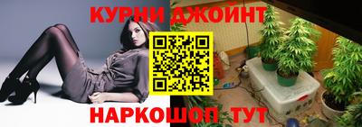 стаф Камышлов