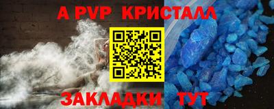 стаф Камышлов