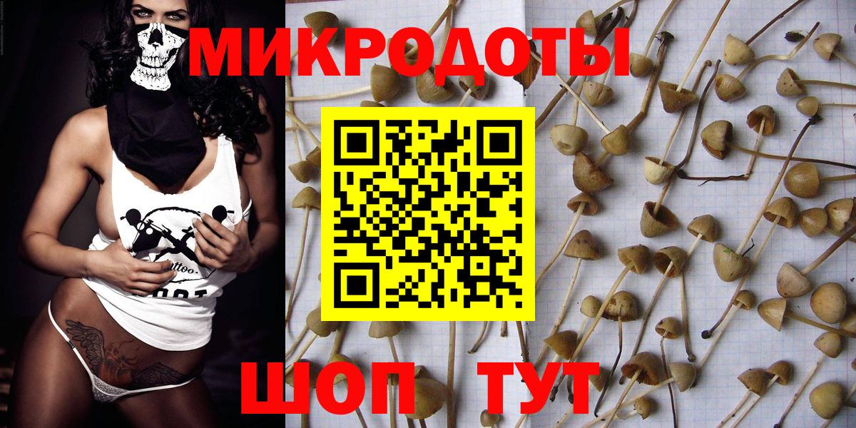 Сочи  Псилоцибиновые грибы Psilocybine cubensis  Вход с VPN 